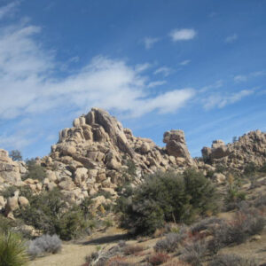 Califonia 2009 024