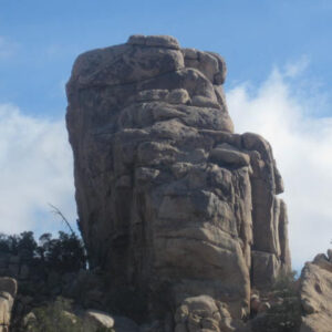 Califonia 2009 025