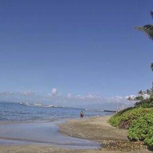 Maui (27)