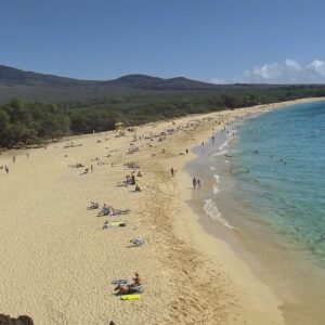 Maui (460)