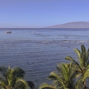 Maui (642)