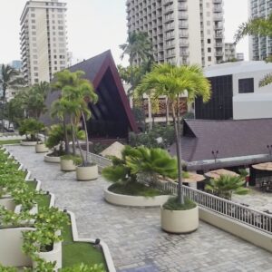 Waikiki (61)